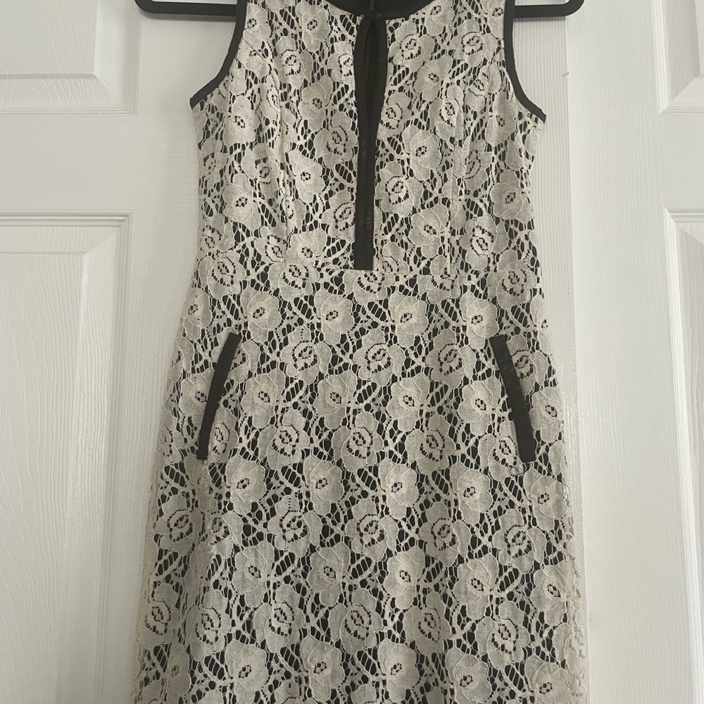 Chic Cream and Black Midi Dress